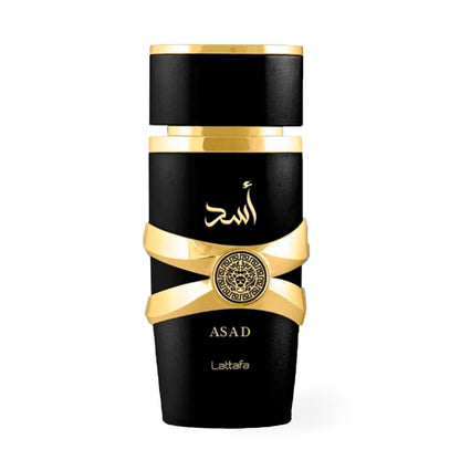 Smart Collection Asad Asad – Collection Habibi
